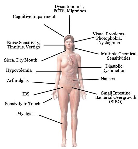 Body Symptoms