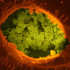 Health-related quality of life changes in patients with Q-fever fatigue syndrome: a four-year follow-up study, 10 years post-infection