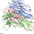 Respiratory SARS-CoV-2 Infection Causes Skeletal Muscle Atrophy and Long-Lasting Energy Metabolism Suppression