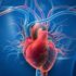 Orthostatic intolerance with small heart and/or disequilibrium in patients with myalgic encephalomyelitis/chronic fatigue syndrome: clinical update and paradigm shift