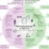 Dr. Bell on ME/CFS Symptom Variation: Illness or Host?